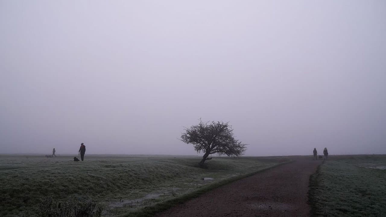 Port Meadow