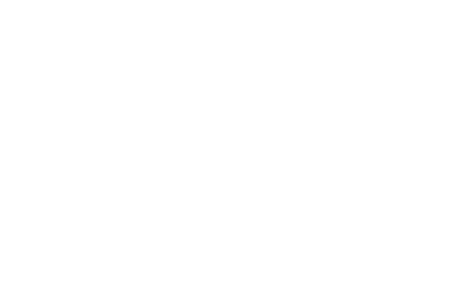 The Teacher