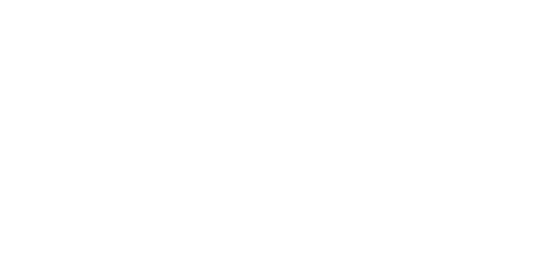 Inside the Enchanted Forests