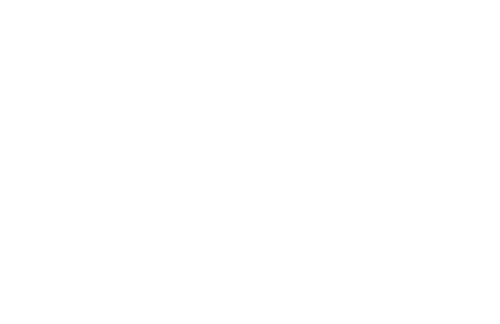 Bad Influencer