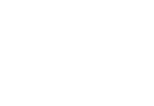 The Vow