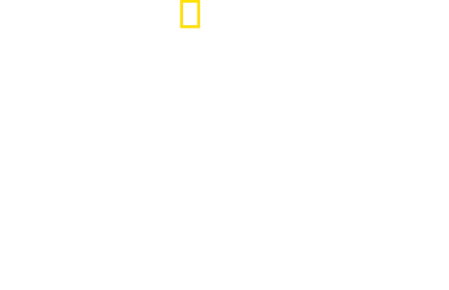Hitler's Battle Against the Press