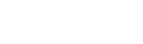 The Valet