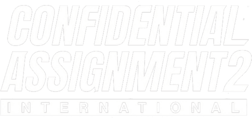 Confidential Assignment 2: International