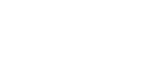 Berlin ER