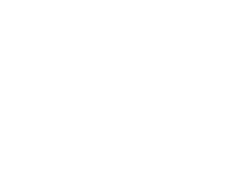 Myriam Fares: The Journey