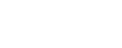 The Crowd