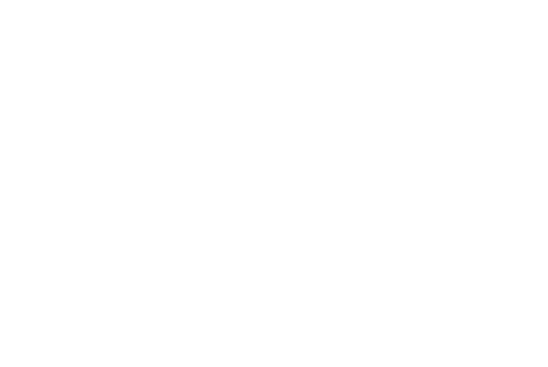 Recruit a General to Lead the Troops