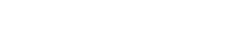 100 Rifles