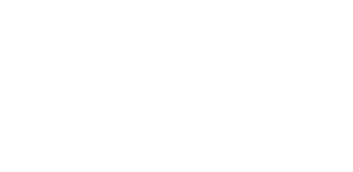 Chicken Run
