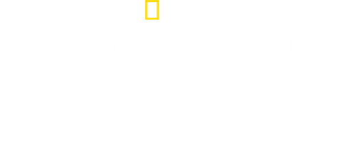 Secrets of the Bees