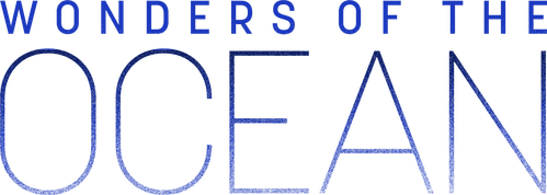 Wonders of the Ocean