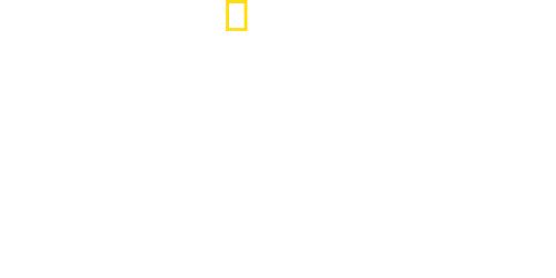 Fiennes: Return to the Wild