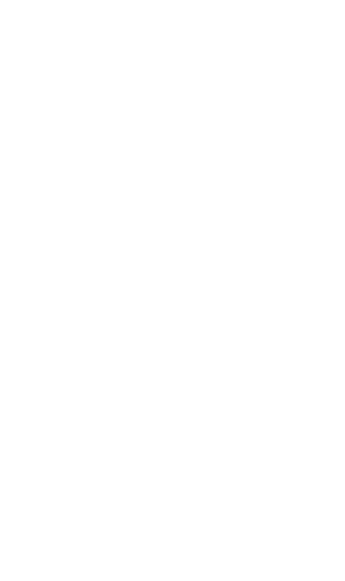 The Big Bird Cage