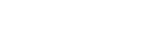 Austin Dillon's Life in the Fast Lane