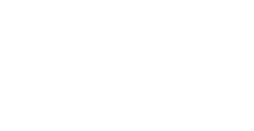 Flip the Strip