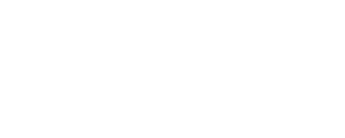 The Battle of Austerlitz