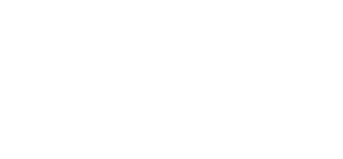 Mr. Nanny