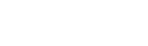 Wasp Network