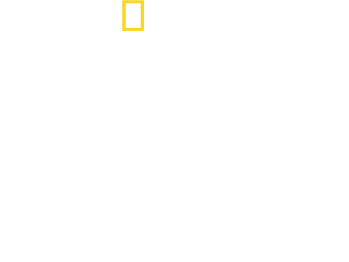 Tucci in Italy