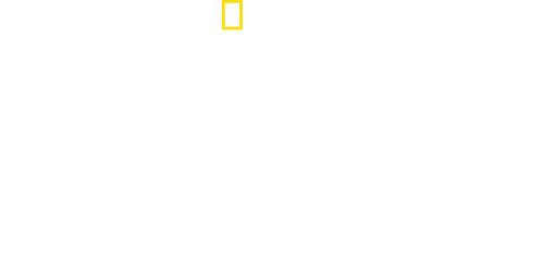 Wild Lapland