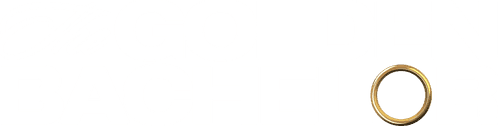The Golden Bachelor