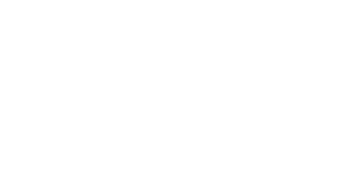 Equinox Flower