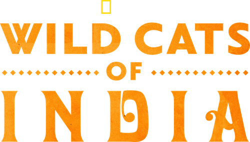 Wild Cats of India