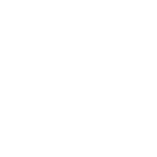 Bruce Lee, the Legend