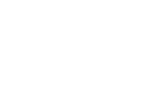 Reasonable Doubt