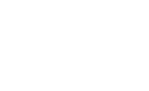 The Great St. Louis Bank Robbery