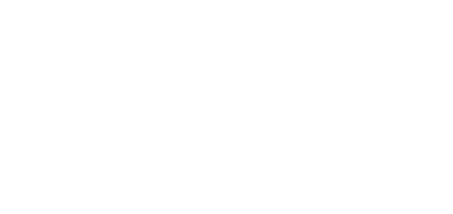 The Kangaroo King
