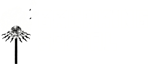 Breaking Social