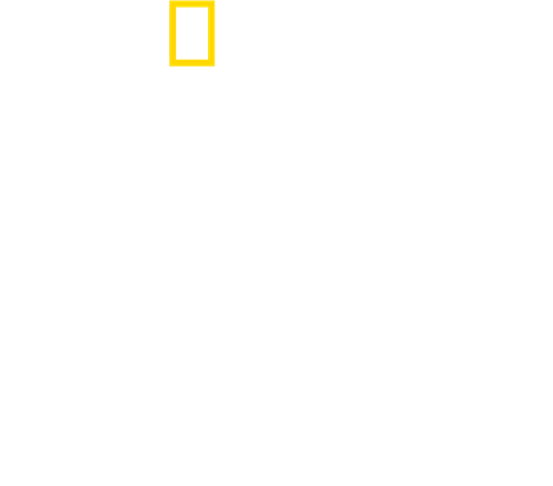 The Real Right Stuff