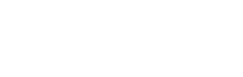 The Dynasty: New England Patriots