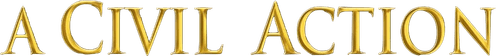 A Civil Action