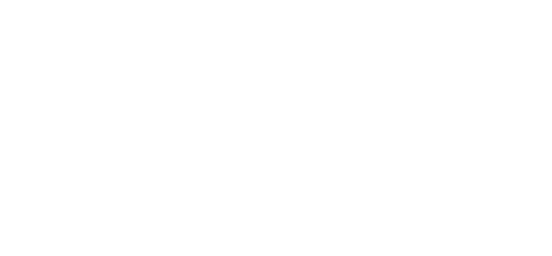 Boise Boys