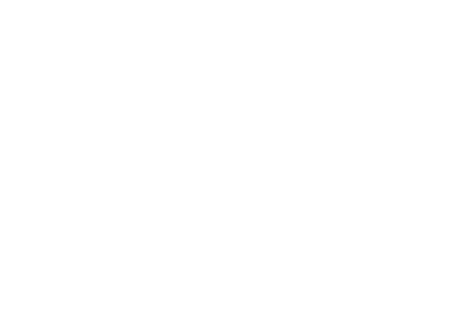 Because We Forget Everything