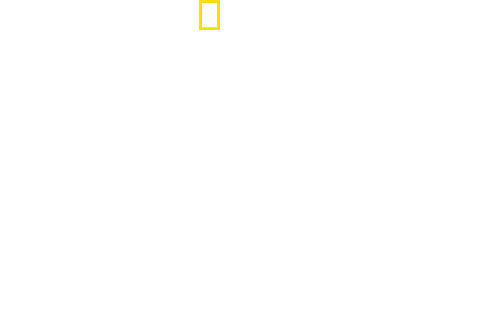Most Wanted Sharks