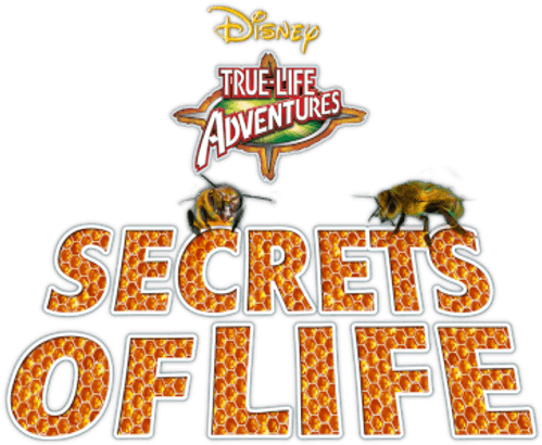Secrets of Life