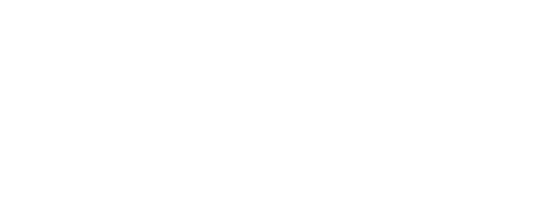 The Painter