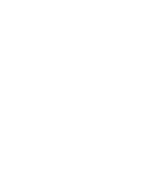 Blues Brothers 2000