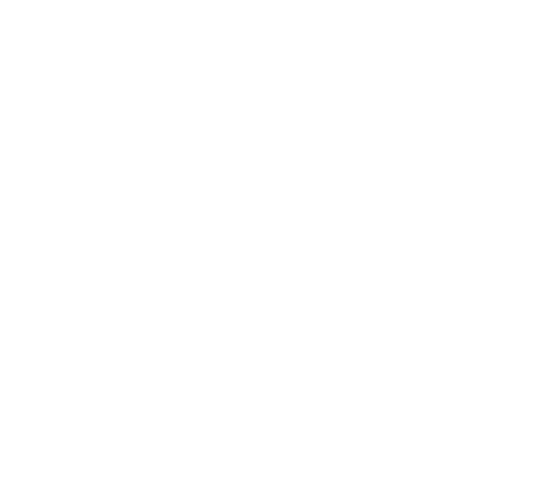 Not Another Teen Movie