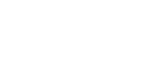 The Net