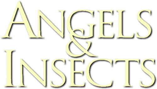 Angels and Insects