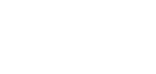 Fantastic Fungi