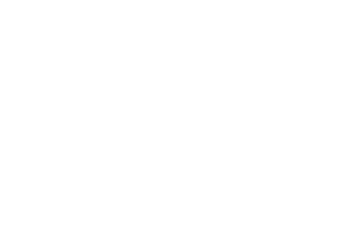 Born Racer