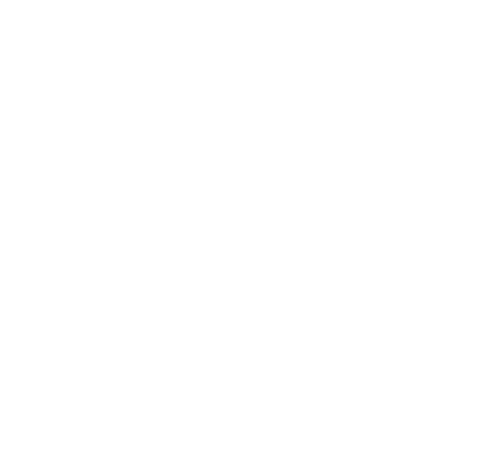 Hong Hoon