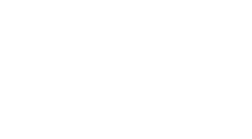 We Are Lady Parts