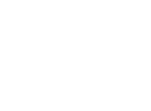 The Beautiful Lie